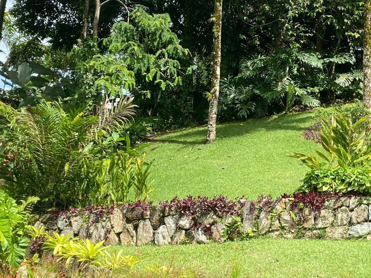 Tropical Contemporary Suites 帕拉蒂 外观 照片